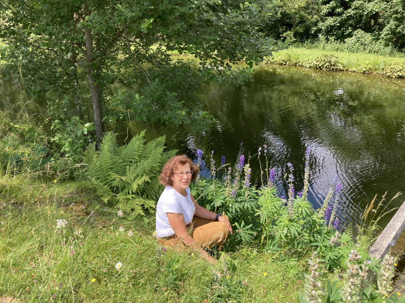 Wald mit Person